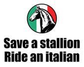 Save a Stallion