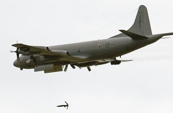 P3c.jpg