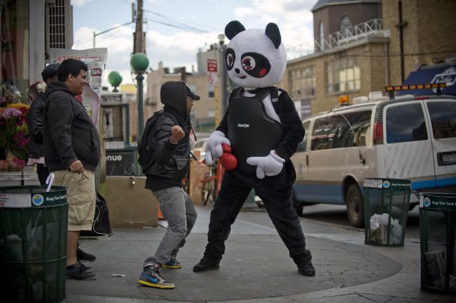 PunchMePanda1.jpg