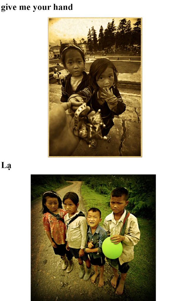 Photo Sharing and Video Hosting at Photobucket