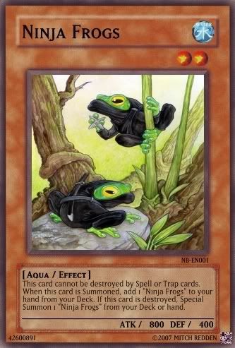NinjaFrogs-1.jpg