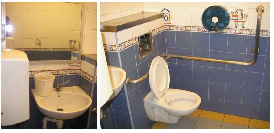 disabled toilet