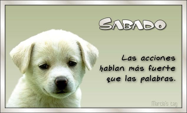 73952006-02-20_06_Sabado.jpg picture by anamariacarballo