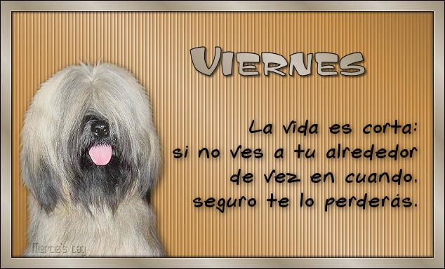 940362006-02-20_05_Viernes.jpg picture by anamariacarballo