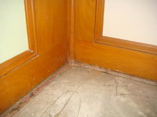 mold removers