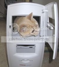 Digitalcat.jpg