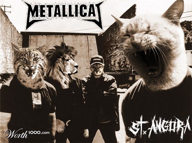 Metallicat