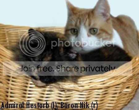 NikPic1.jpg