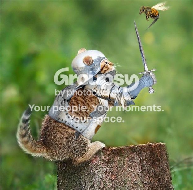 cat-sword1.jpg