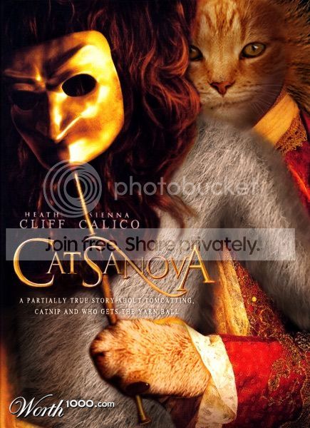 catsanova.jpg