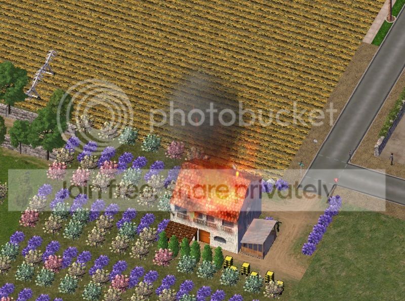 fire5.jpg