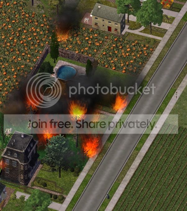 fire7.jpg