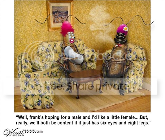 larson13.jpg