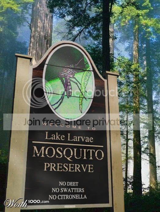 mosquitos.jpg