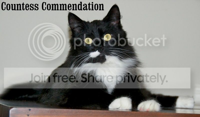 20postsAward.jpg
