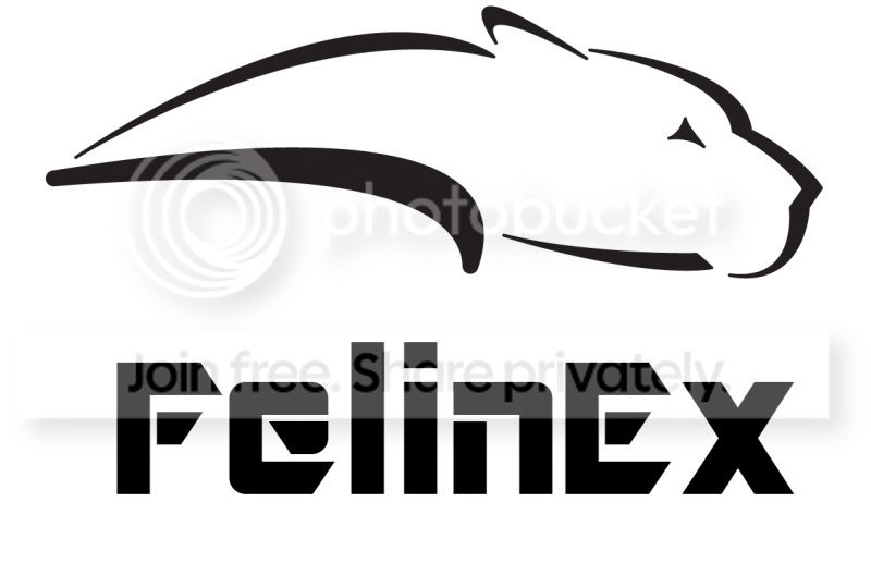 FelinEx-1.jpg