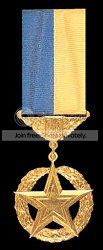 OrderofMaxis-simstarofAchievement.jpg