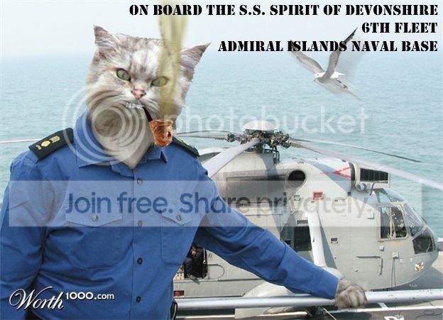 ainb.jpg