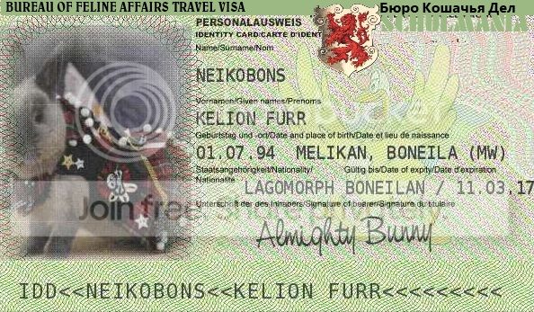 boneila.jpg