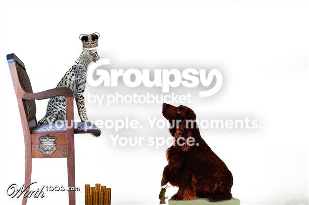 dogsupplicant.jpg