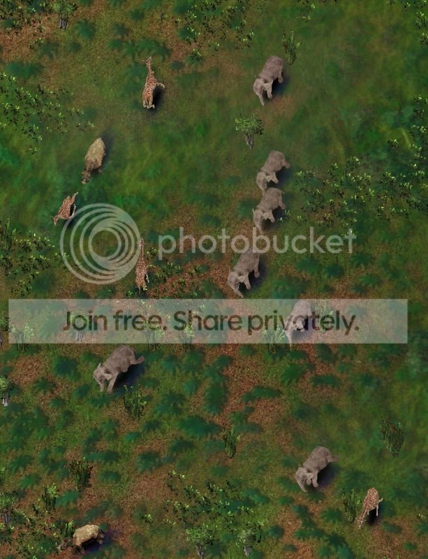 hunt01.jpg