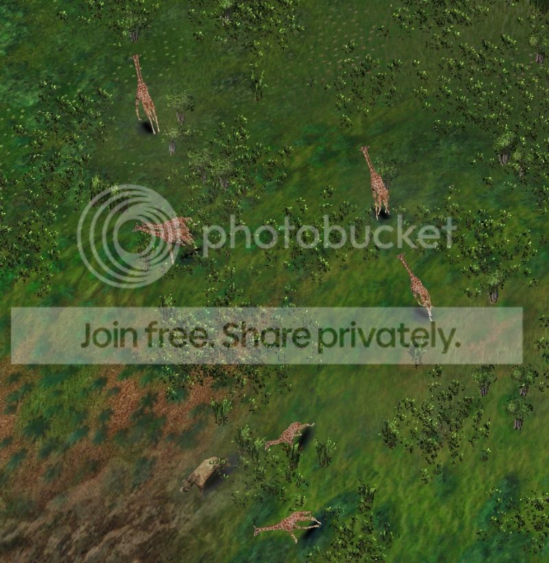 hunt02.jpg