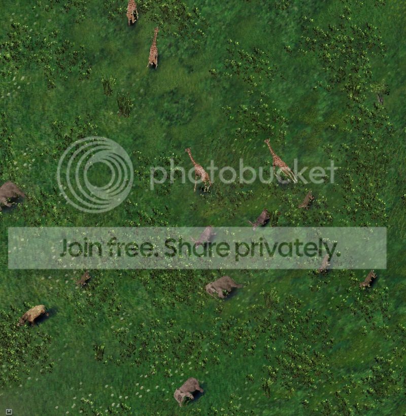 hunt03.jpg