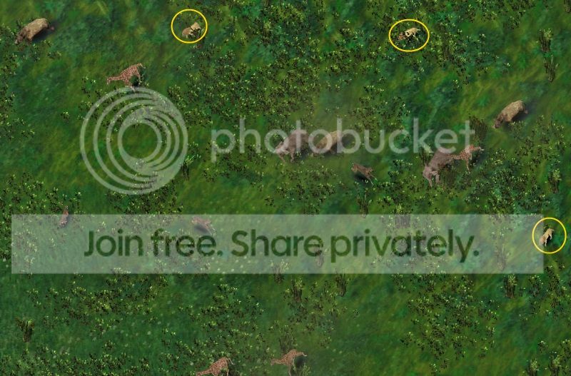 hunt07.jpg