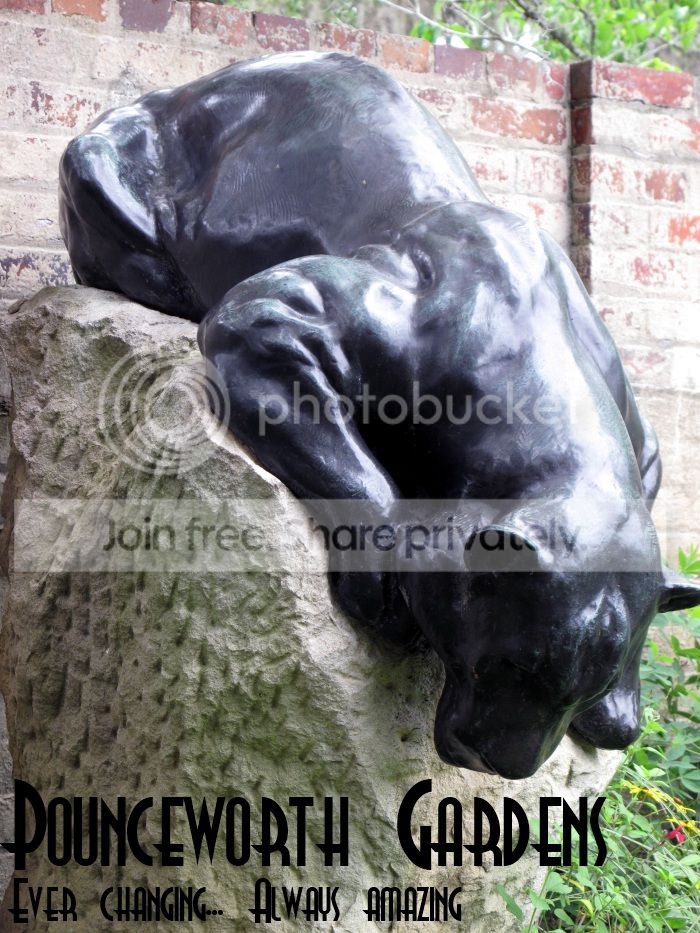 pounceworth.jpg