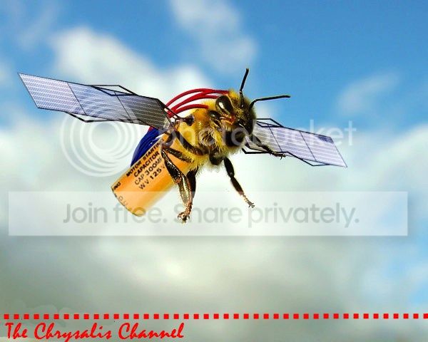 qf9.jpg