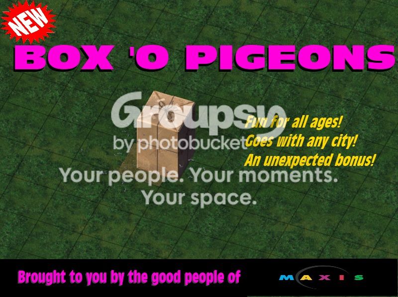 Box-O-Pigeons_zpsd17c14ae.jpg