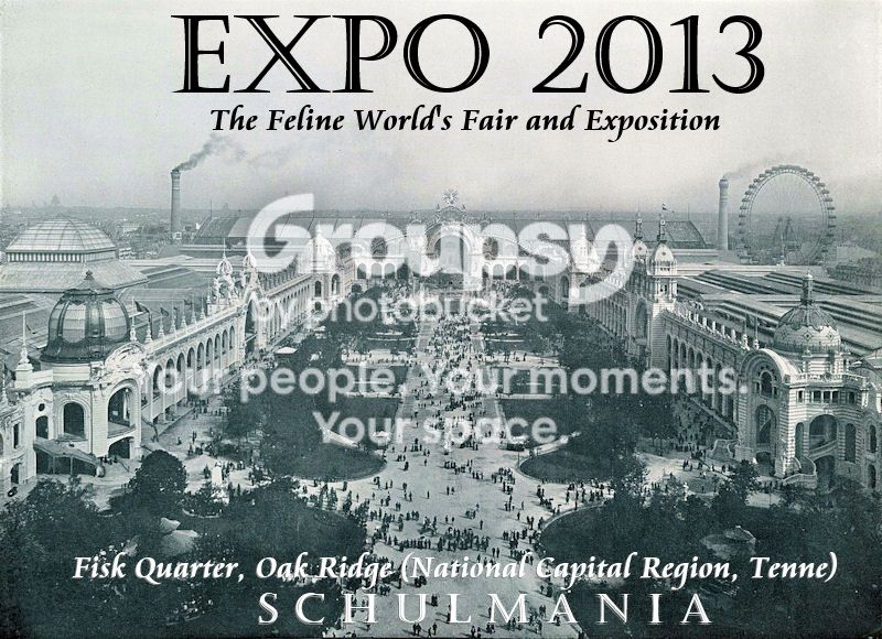ExpoHeader_zps7550bfe6.jpg
