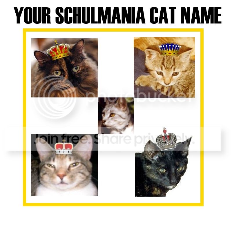 CatName_zpsd6f4bca1.jpg