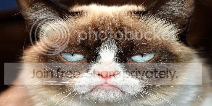 TZRgrumpy_zps64ee83fd.jpg