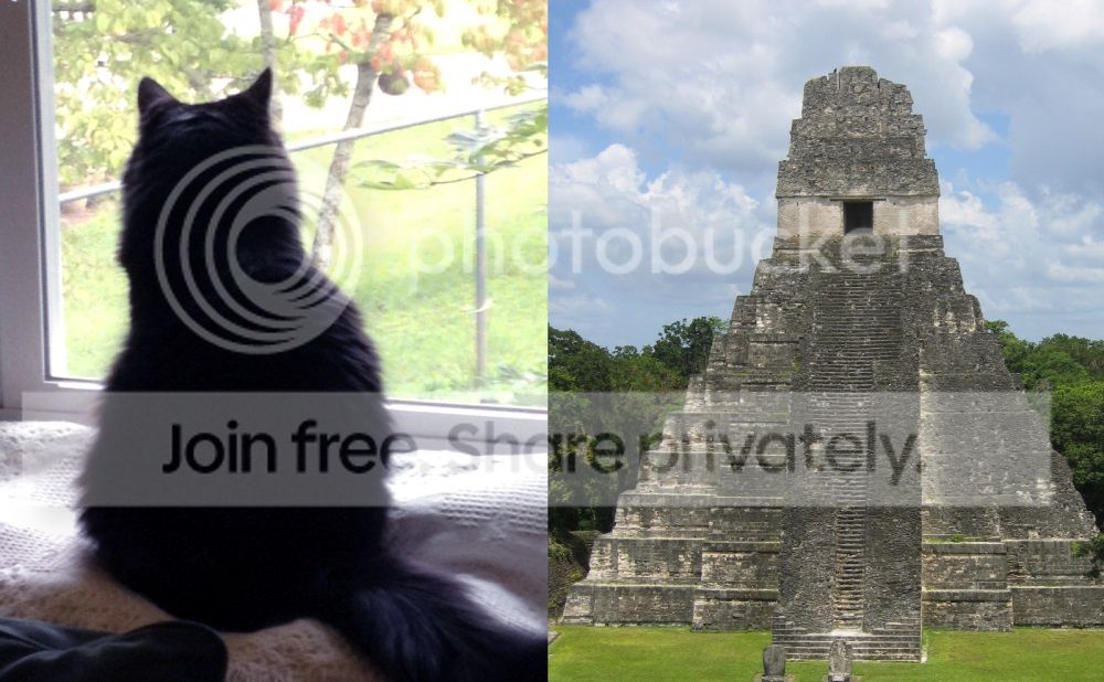 TikalCatPyramid_zps61e3340e.jpg