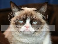 grumpy-cat-600x450_zps3ec6a8e6.jpg