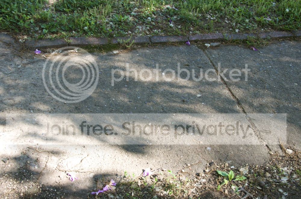 site2_zps7db86efa.jpg