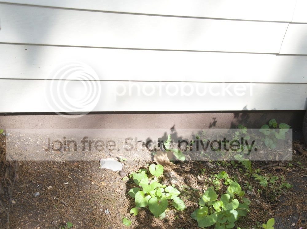 site3_zpsb3a00e8f.jpg