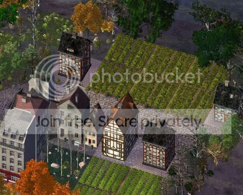 3a.jpg
