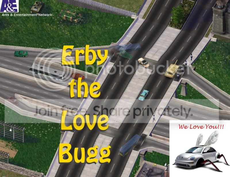 8erby.jpg