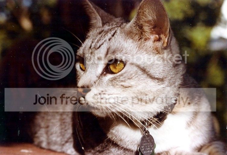Hoppy_State_Portrait.jpg