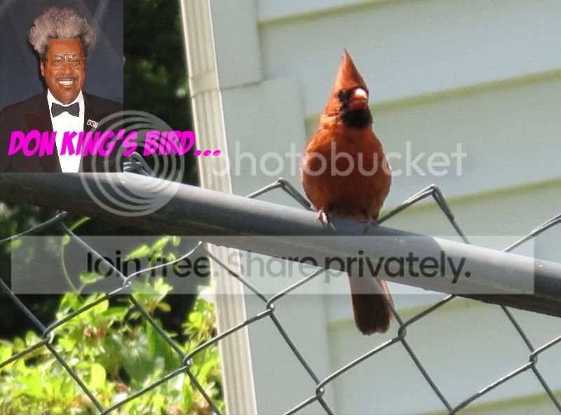 004a.jpg