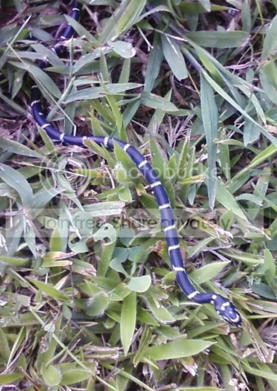 Photo0307.jpg