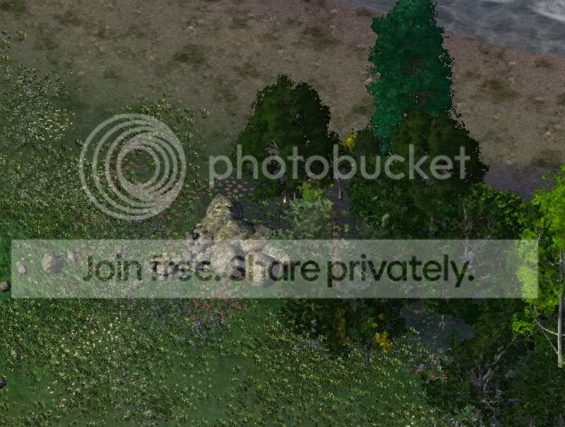 aviary1.jpg
