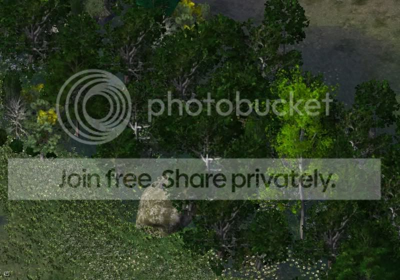 aviary2.jpg