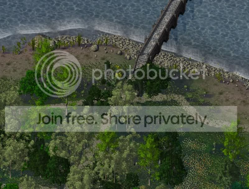 aviary4.jpg
