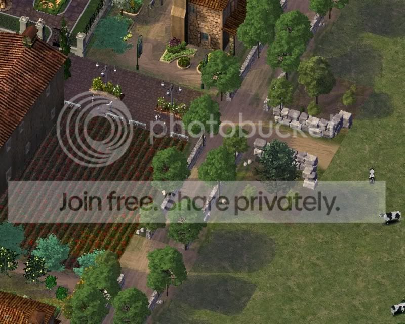 bd23.jpg