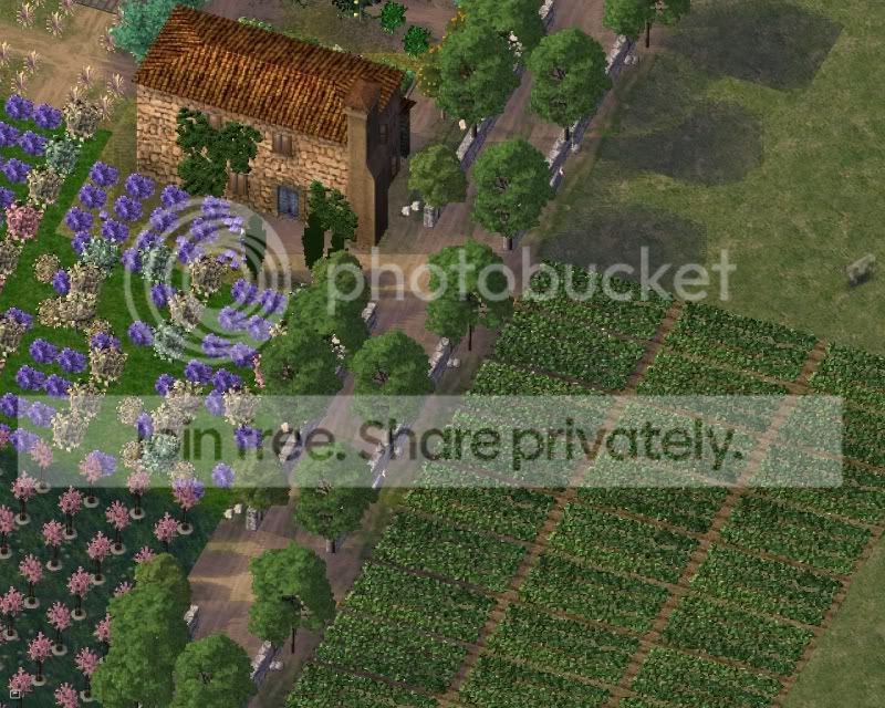 bd24.jpg