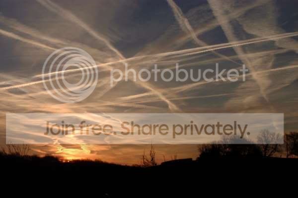 contrail5.jpg