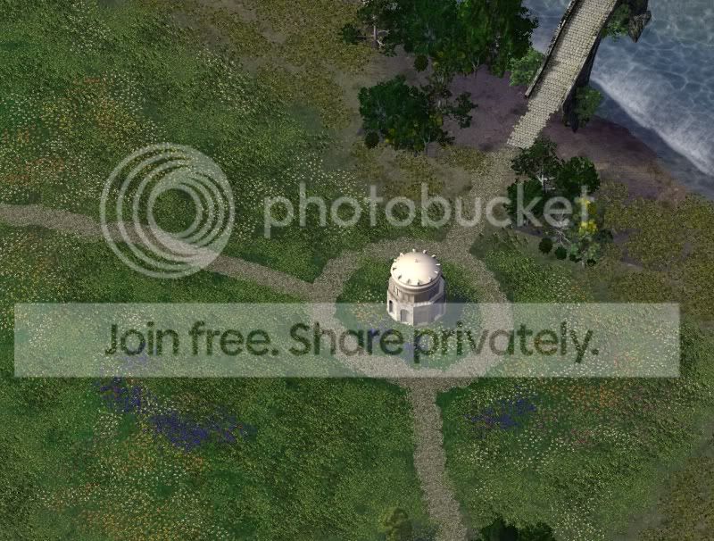 cotton1.jpg